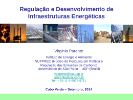 Regulação e Desenvolvimento de Infraestruturas Energéticas