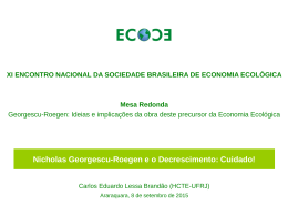 Carlos Lessa Brandao – Georgescu e o decrescimento_ECOECO