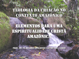 Teologia da Criação no contexto Amazônico Elementos para uma