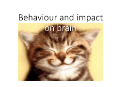 Behaviour and impact on brain :