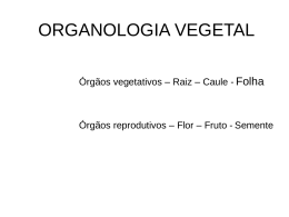 Organologia Vegetal - EM - 2º trimestre