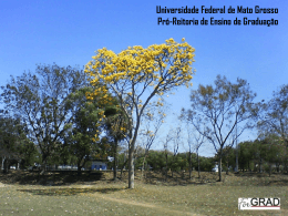 Irene - Universidade Estadual de Mato Grosso do Sul