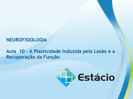 NEUROFISIOLOGIA Aula 10 – A Plasticidade Induzida pela Lesão e
