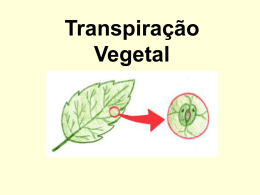 Transpiração Vegetal