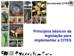 Princípios Básicos da Legislação para Implementar a CITES