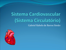 Sistema Cardiovascular Gabriel SimÃ£o
