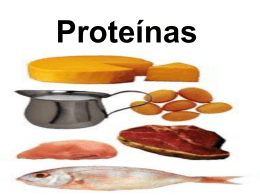 Proteínas - Portal Sipeb