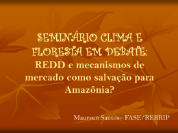 REDD e mecanismos de mercado como salvação para Amazônia?
