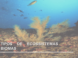 aula6_Distribuio_dos_ecossitemas