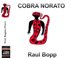 resumo de Cobra Norato