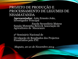 Projeto de produçao e processamento de Legumes de Nhamatanda