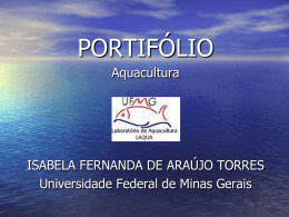 apresentação do portifólio - Universidade Federal de Minas Gerais