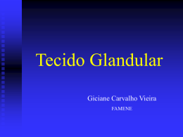 Tecido Glandular Giciane Carvalho Vieira