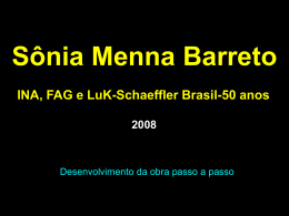 INA, FAG e LuK-Schaeffler Brasil