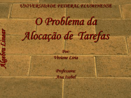 Álgebra Linear - Universidade Federal Fluminense