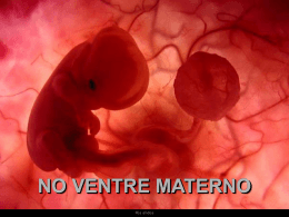 No Ventre Materno - Aborto . . . NÃO