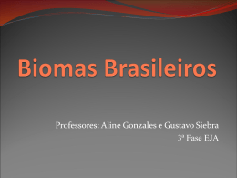 Biomas Brasileiros (3)