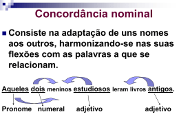 Concordancia_nominal_9_ano