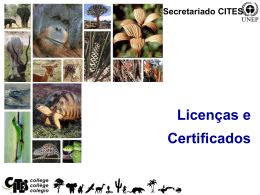 Licenças e certificados