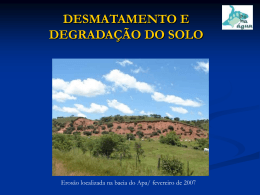 Desmatamento e Degradação do solo
