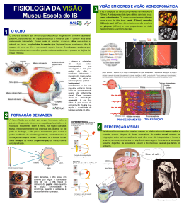 Poster sobre a Fisiologia da Visão