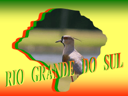 Rio Grande do Sul (1)