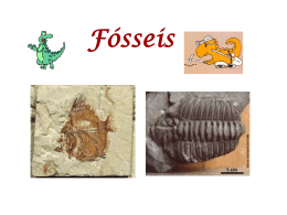 Fósseis - Casa das Ciências