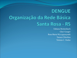 Apresentação Organização da Assintência em Dengue em Santa