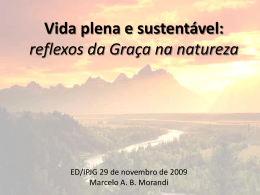 29/11/2009 - Marcelo Morandi - Reflexos da Graça na Natureza