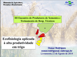 crescimento e desenvolvimento das plantas de trigo