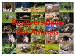 Biodiversidade dos Animais - Centro Educacional 01 de Planaltina