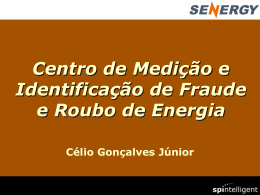 Metering Centre and Fraud Identification for Energy
