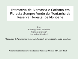 Estimativa de Biomassa e Carbono em Floresta sempre verde de