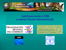 Interfaces entre a CDB e outros Fóruns Internacionais