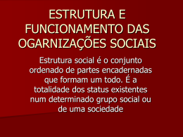 ESTRUTURA E FUNCIONAMENTO DAS OGARNIZAÇÕES SOCIAIS