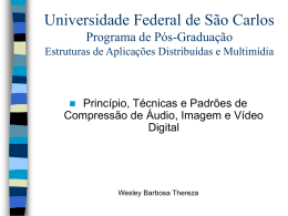 Universidade Federal de São Carlos Programa de Pós