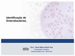 Identificação de Enterobactérias