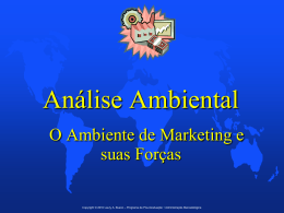 Análise Ambiental • O Ambiente de Marketing e suas
