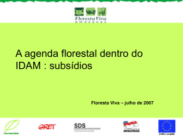 A agenda florestal dentro do IDAM