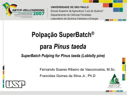 Polpação SuperBatch para Pinus taeda