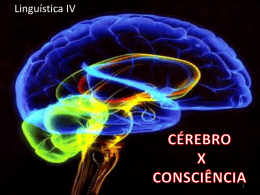 Cérebro x consciência