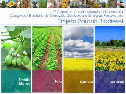 Projeto Paraná Biodiesel