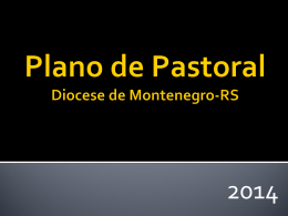 Apresentação do PowerPoint - Plano Diocesano de Pastoral