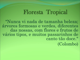 Floresta Tropical - Colégio Machado de Assis