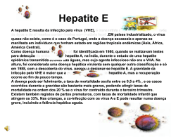A hepatite E resulta da infecção pelo vírus (VHE), é transmitida de
