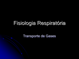 Transporte de Gases – Interactive