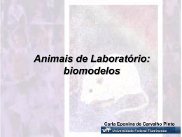Biomodelos (por Carla Eponina)