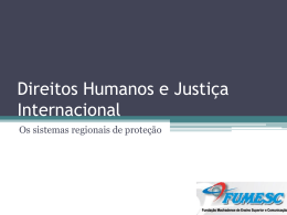 Direitos Humanos e Justica Internacional