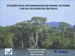 mangroves - DPI