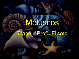 MOLUSCOS